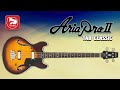 Полуакустическая бас-гитара ARIA TAB-CLASSIC