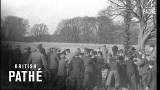 Alnwick (1938)