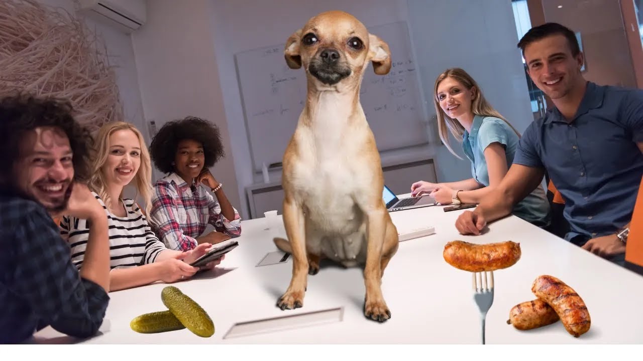 ИП на УСН в 2025 году: декларация, налоги, страховые взносы за себя, отчетность