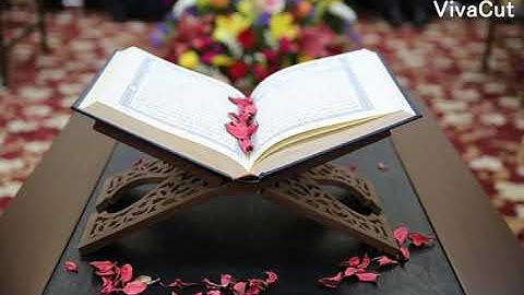المصحف المعلم سوره النباء / الشيخ عبد الحميد حافظ⁦❤️⁩