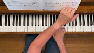 Dance of the Irish - Accelerated Piano Adventures Level 1 Technique &amp; Artistry Book