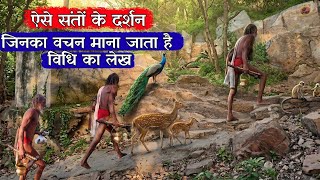 सिद्ध संत कपिल बाबा जिनका वचन माना जाता है विधि का लेख @BrajVihar  #santseva #brajkesant 