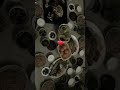 الاهل عزوه ووجودهم عزوه الاهل عزوه ووجودهم عزوه