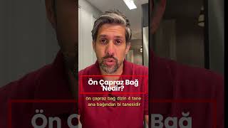 Ön Çapraz Bağ Nedir?