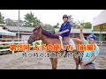 【動画で乗馬レッスン#18】ムチの使い方（前編）ムチの持ち替え方｜神戸からすぐの乗馬クラブ 明石乗馬協会
