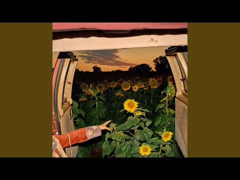 Putar Field Guide For The Butterflies - Kevin Morby