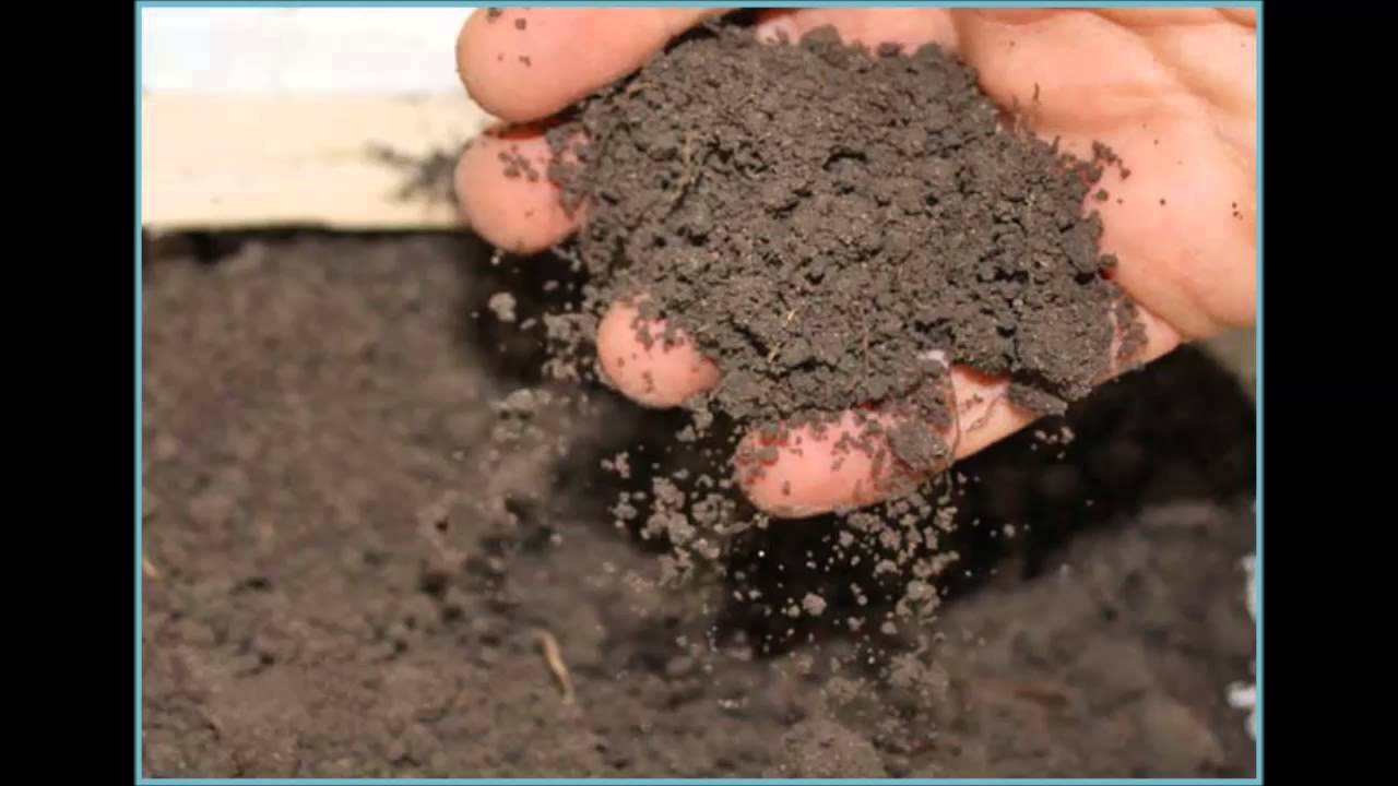 Почвенный раствор поднимается вверх благодаря. Рыхлая почва. Рыхлый грунт. Мягкий грунт. Комковатая почва.