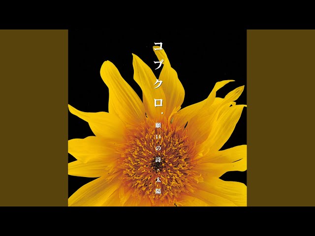 コブクロ　おまけ付きビデオ&CD&DVDまとめてセット♪ YouTube