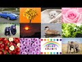 We Love All the Colors | Learn Color Names for Kids| Red, Blue, Green |English Colors Nursery Rhymes