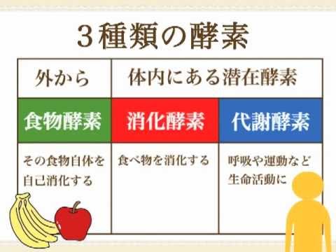 酵素たっぷり ローフードのご紹介 Youtube 酵素たっぷり ローフードのご紹介 Youtube
