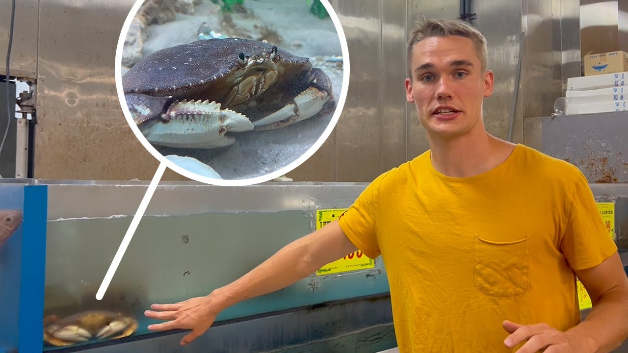 I rescued a huge crab from the grocery store (again) YouTube