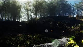 Meadow Environment Set Map1 15 1 injected