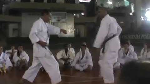 Asai-ryu karate in Brasilia Brazil 2015 seminar: Kumite demo: Switch leg technique