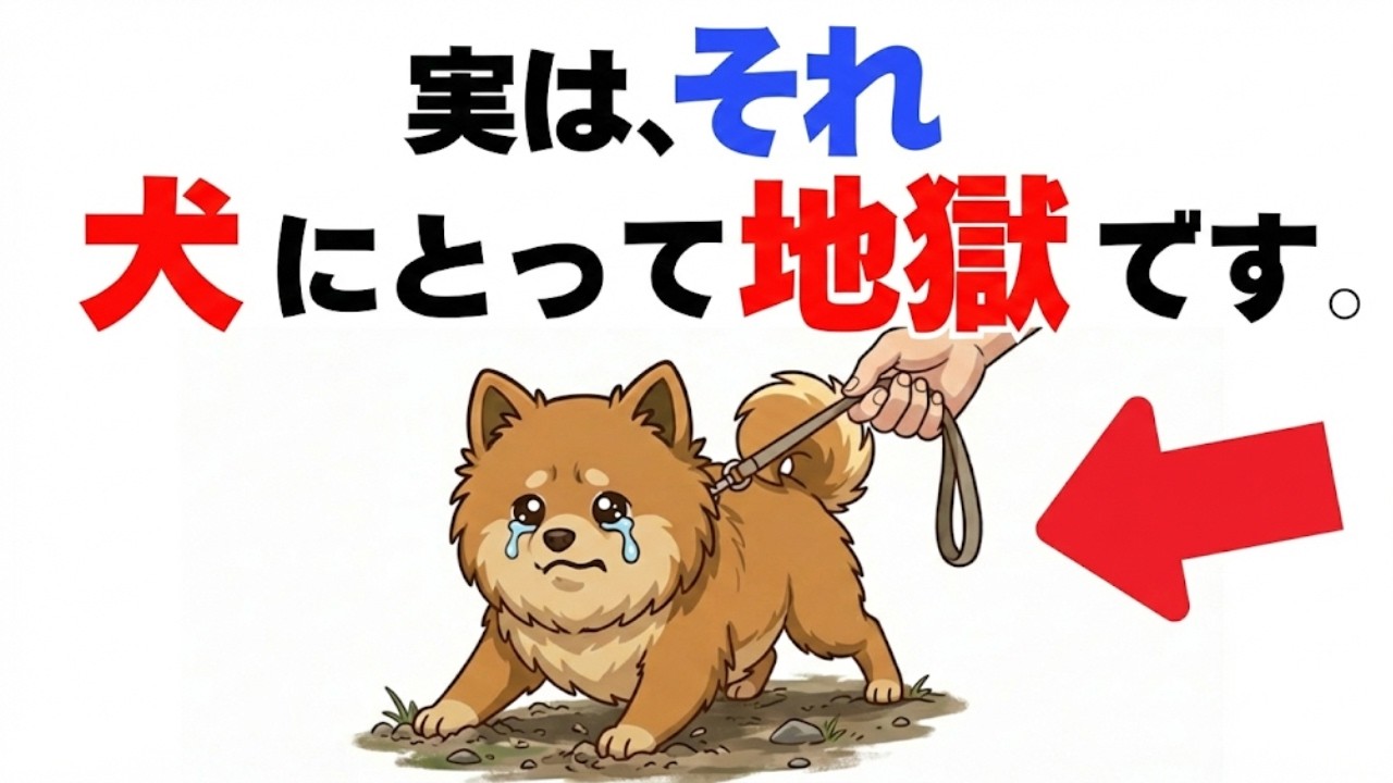 【今すぐ辞めて！】犬がされたら辛い嫌なこと１０選