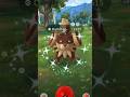 Found Goated Shiny Pokémon in Wild! #shorts #shiny #evolve #ultragoo #catch #spawn #lucky #gotcha
