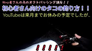 初心者さん向けタコの釣り方！！説明はヘタクソですが(・_・;)