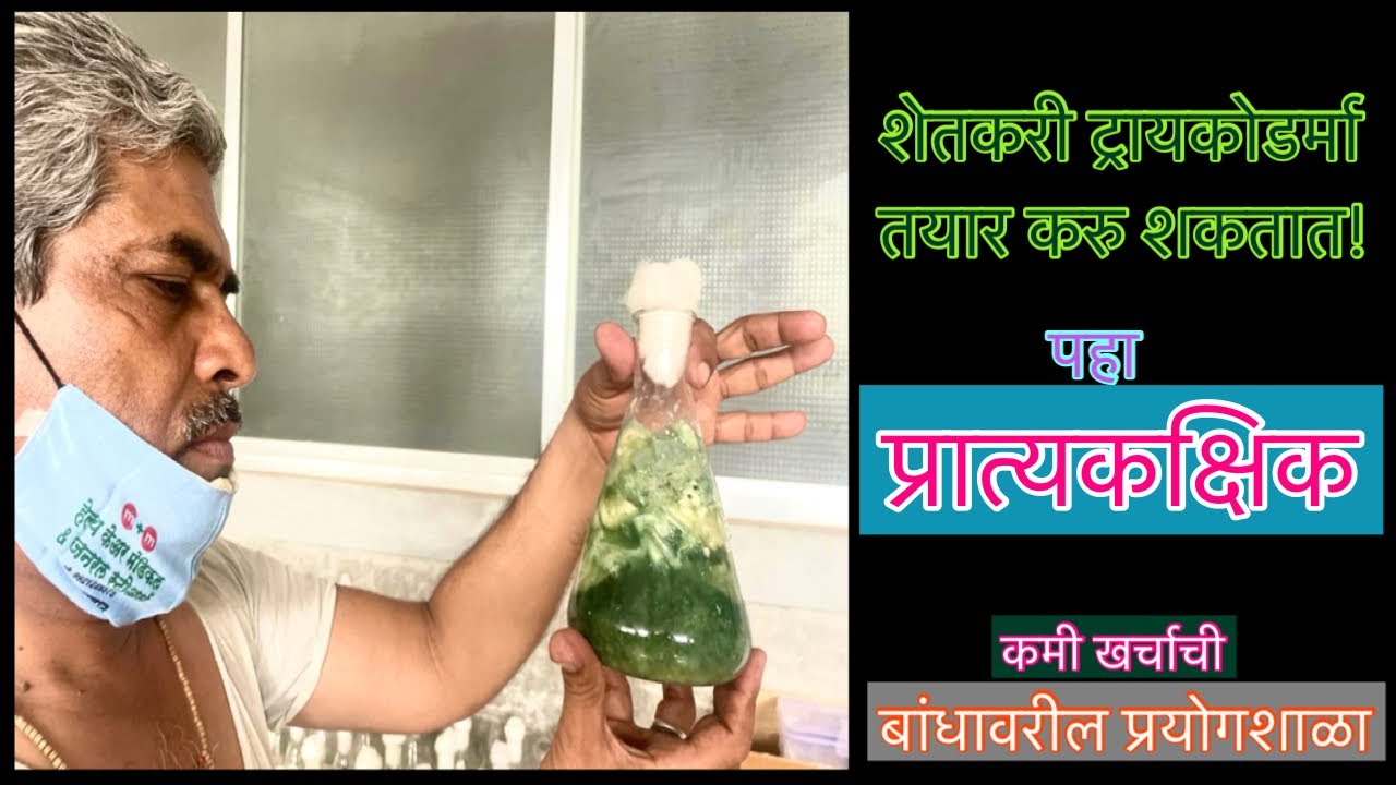 ट्रायकोडर्मा बनवा घरच्याघरी#प्रात्यकक्षिक ट्रायकोडर्मा बनवन्याचे#Trichoderma Production Demo