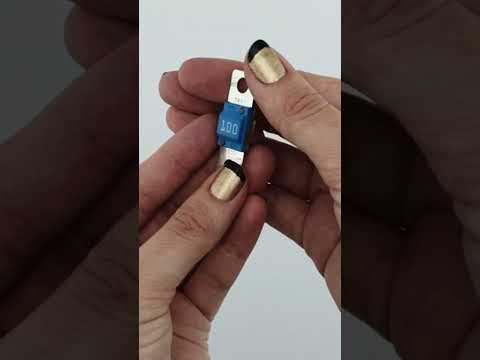 Pacific 50 Amp Fuse