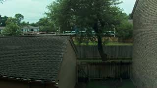 Backyard Timelapse 20260616