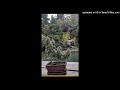 ripsquad x rock type beat "bonsai"