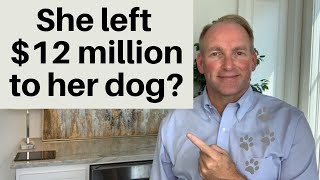 Save Your Pet from the Unexpected
