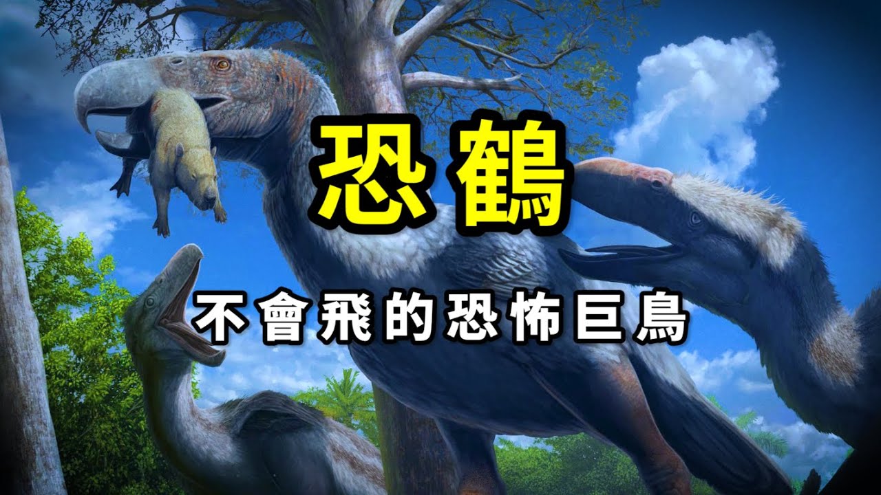 興復龍室，還於舊都！ 恐龍王朝的繼承者—恐鶴