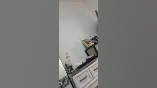 Bigo live big booty twerk