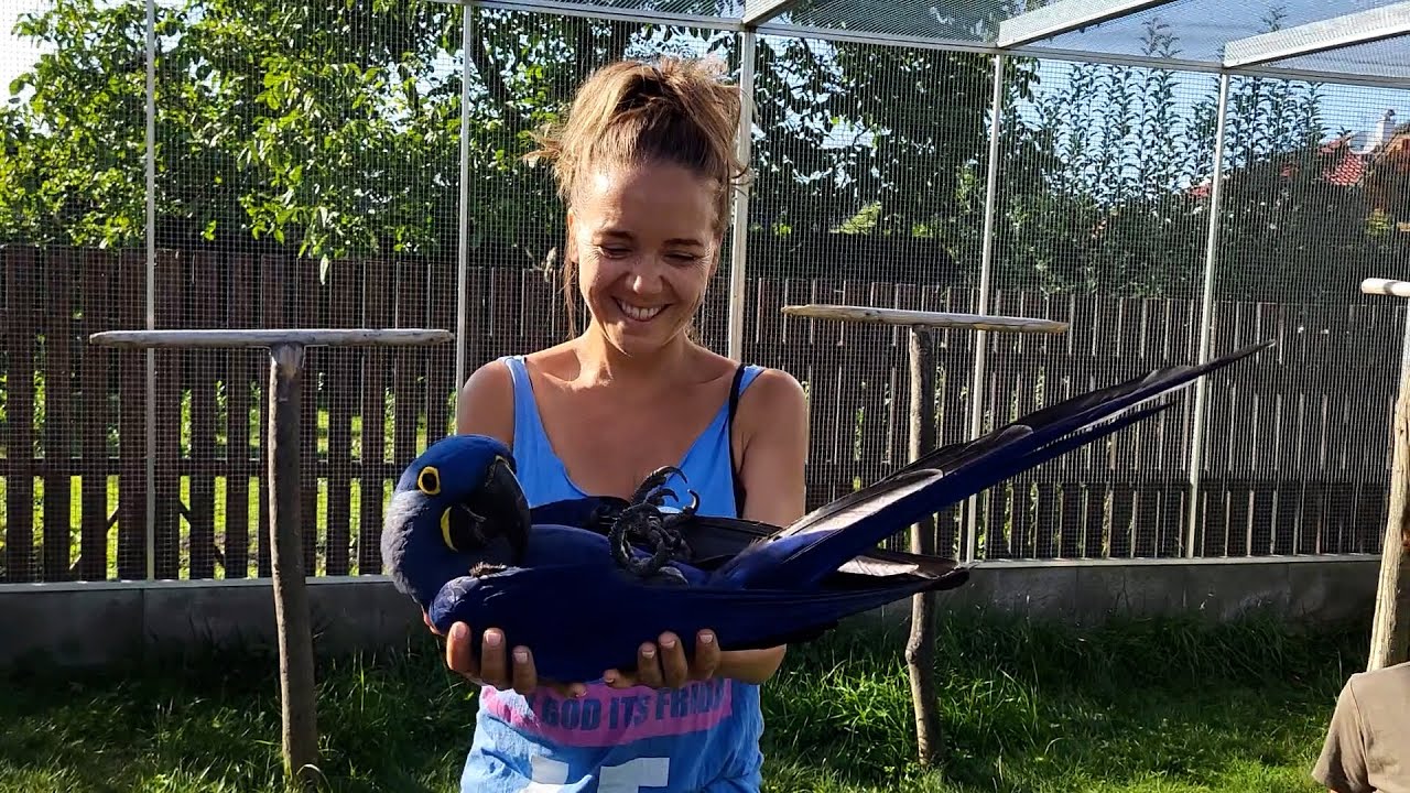 Lucka Vondráčková v Království papoušků