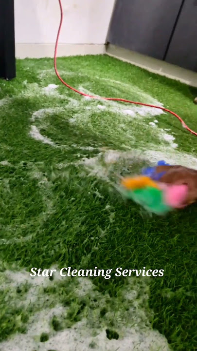 Transparent cleaning with star  Artificial Grass cleaning #howto #deepclean #vacuumcleaner