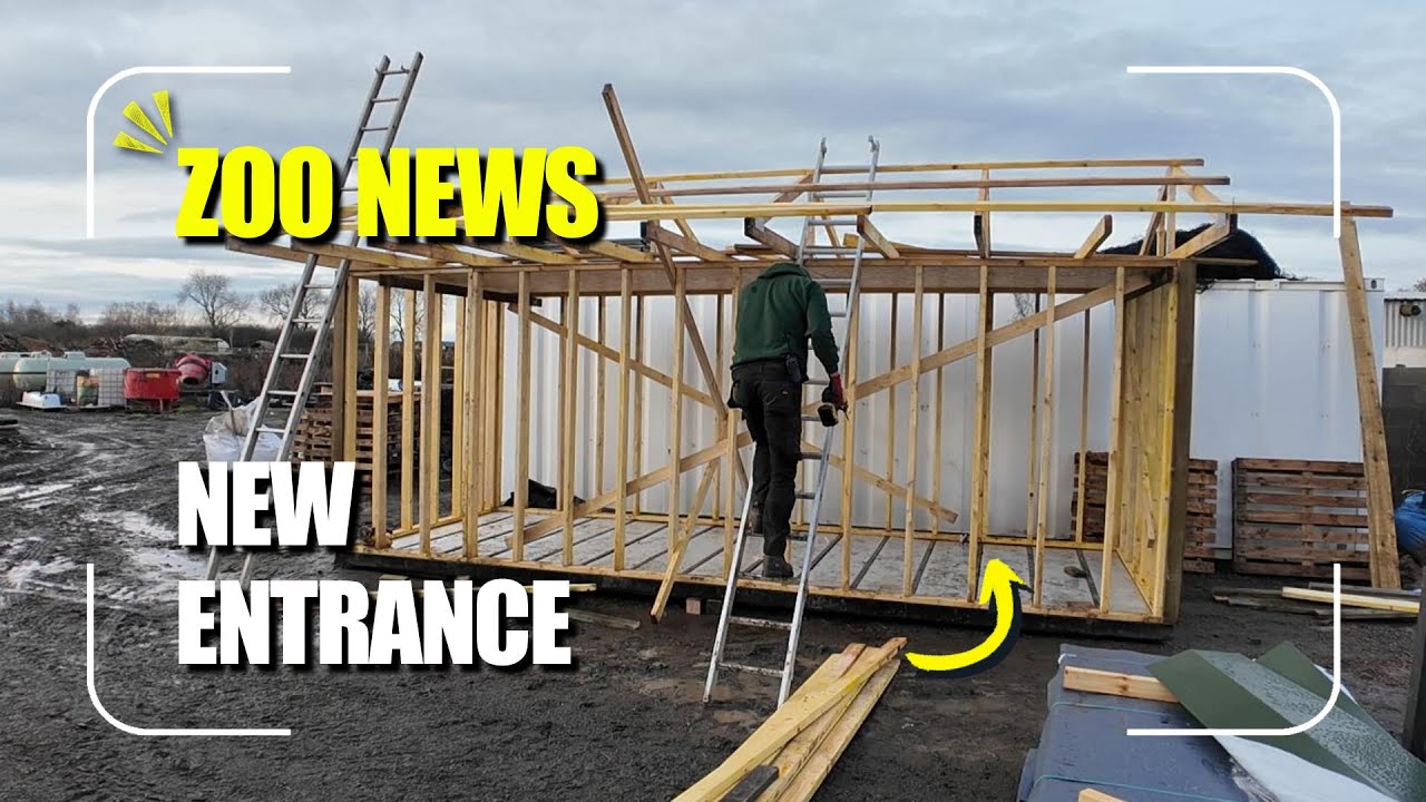 Новости зоопарка | Новый план входа