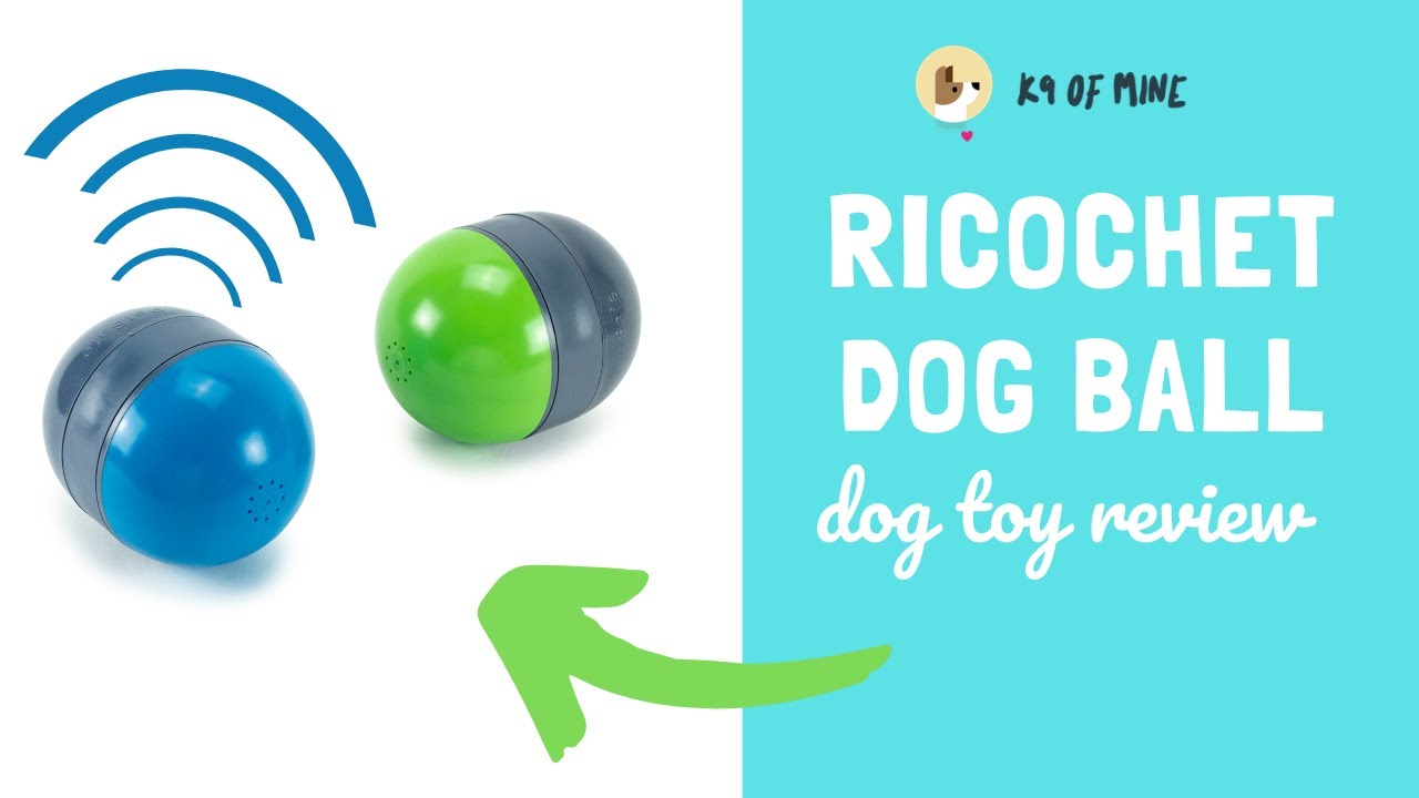 PetSafe Ricochet Electronic Squeak Dog Toys for All Dogs, Battery-Operated,  2 Smart Paired Toys