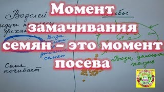 ☝️ Момент замачивания семян - это момент посева. А Вы знали?