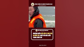 Khoảnh khắc giải cứu 14 ngư dân bị chìm tàu, chới với giữa biển trong sóng lớn #tinnong
