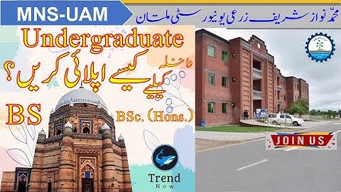 How to apply for Undergraduate BS or BSc Hons Degree Programs in MNSUAM