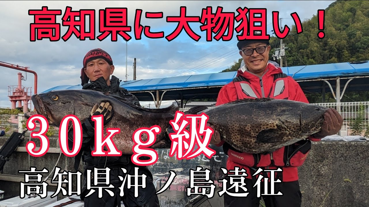 【超過酷】弩級クエ現る！一同騒然！？沖ノ島には怪物が居た！【高知県に投げ釣りでタマミを狙う！#3】
