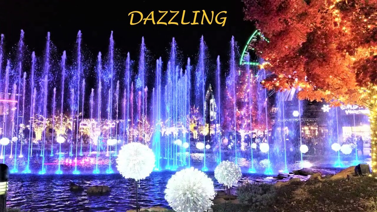 Best Christmas Lights 2019 with Music Christmas Lightning Pigeon