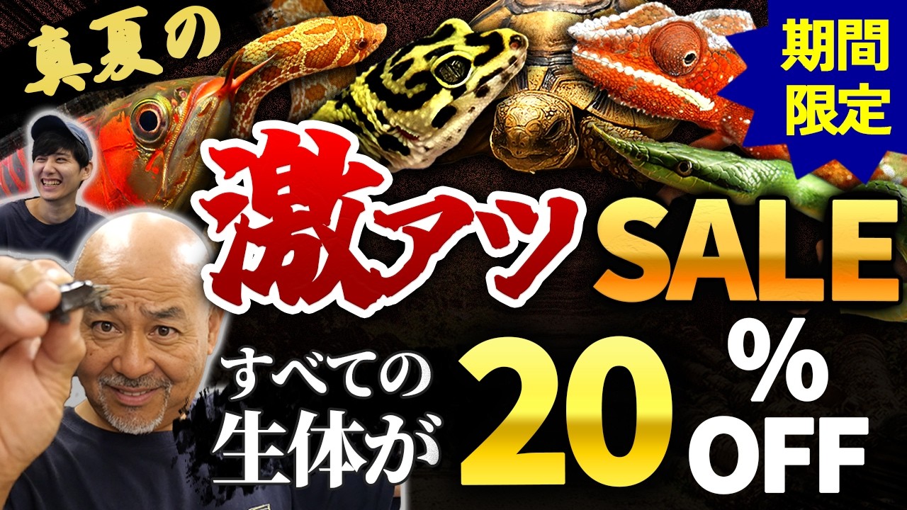 MID-SUMMER RED-HOT SALE NOW ON! Rare Livestock at Shocking Prices