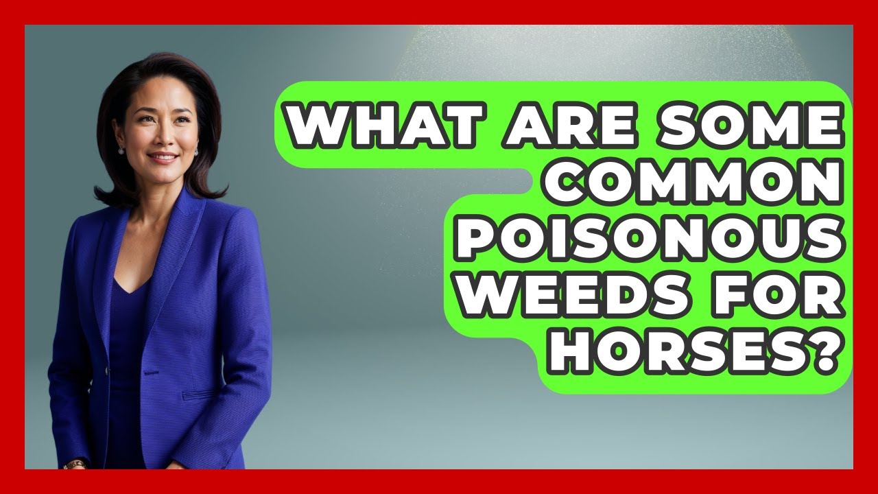What Are Some Common Poisonous Weeds For Horses? - The Horses Stable