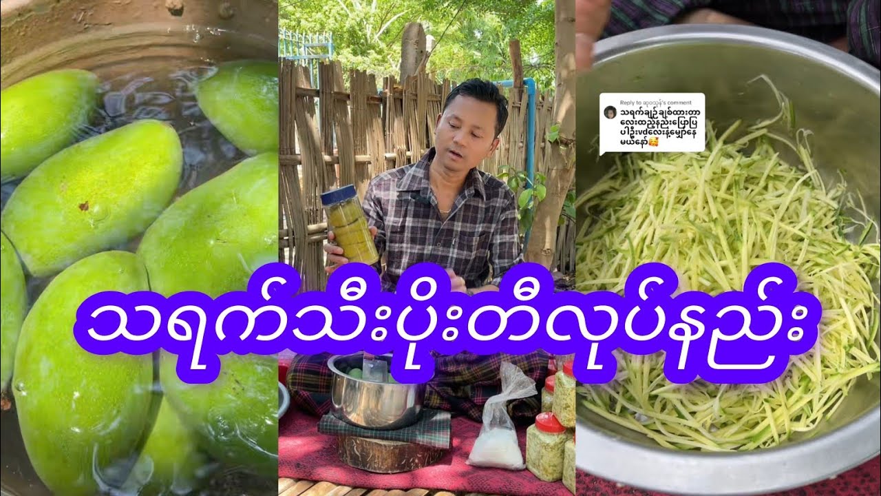 သရက်သီးပိုးတီနှင့်သရက်ချဥ်ပြုလုပ်နည်း