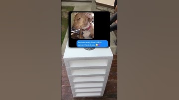 @rizz_app Game is Game 😆🤣 #funny #texting #textstory #funnytexts