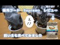 【子猫から成猫へ】フード切替は避妊・去勢手術後から（大まかな目安です）