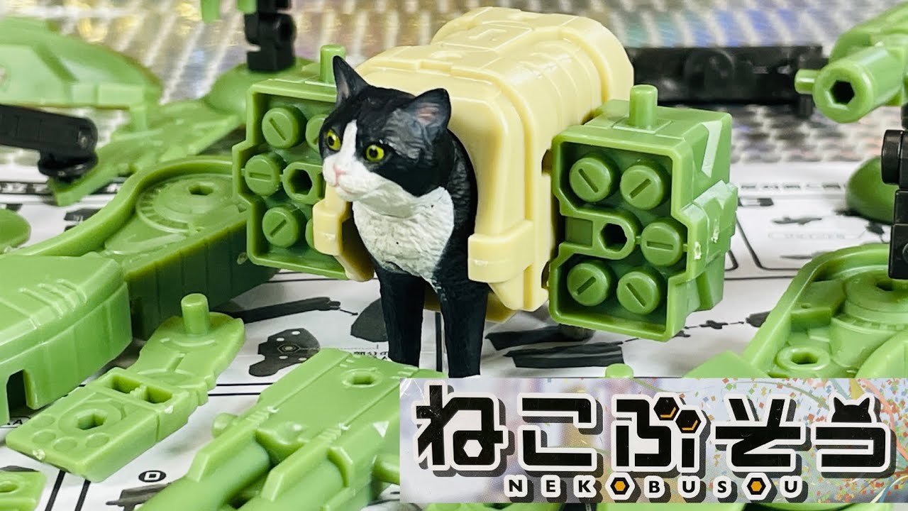 ねこぶそう】よみがえるハチワレてんこ盛り - YouTube