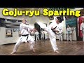 Goju-ryu Karate Sparring | Sport Kumite & Full contact | ???????????????? | ??????