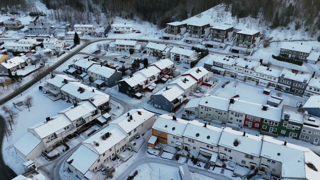 Flying Winter Dreams