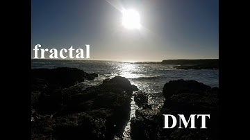 DMT Fractal