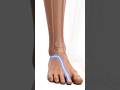 The inner edge of the foot is associated in reflexolo #facts #didyouknow #science #foot #sports
