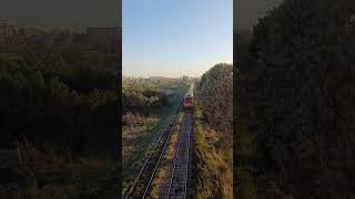 قطار  من بني سويف للقاهرة كل نص ساعة