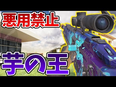 Sorry if this becomes a trend! The secretly buffed weapon's camping custom build is insane! [COD ...