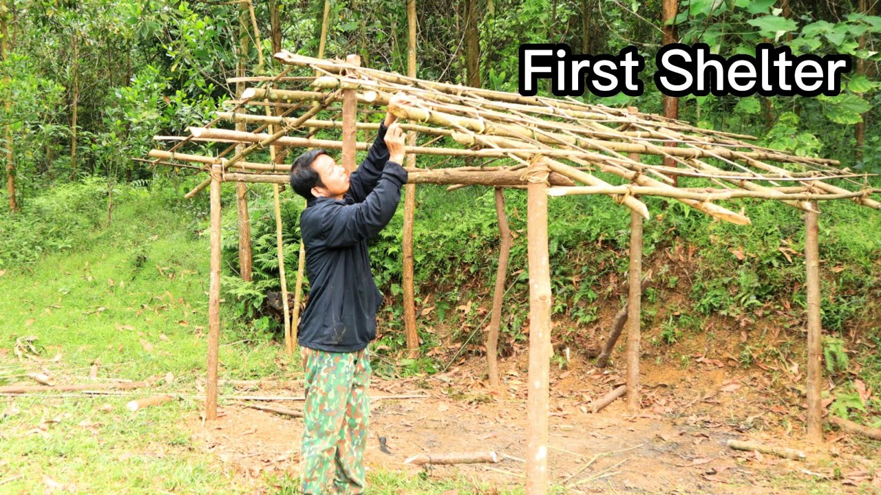 Alone in the Wild | First Steps to Building a Survival Shelter