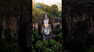 Weirdest Laws Around the World – Part 2 #amazingfacts #mindblowing  #crazyfacts #facts #factshorts